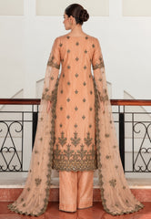 Peach embroidered suit back view with net dupatta