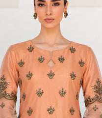 Peach suit embroidered neckline and bodice close-up